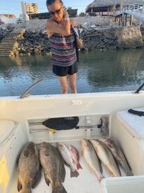 Sonora Report Photo 3