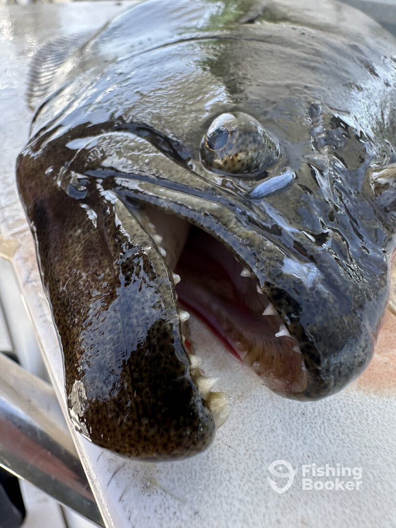 San Diego Report Photo 0