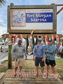 Another limit of American Red Snappers