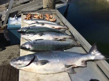 Black Creek Report Photo 1