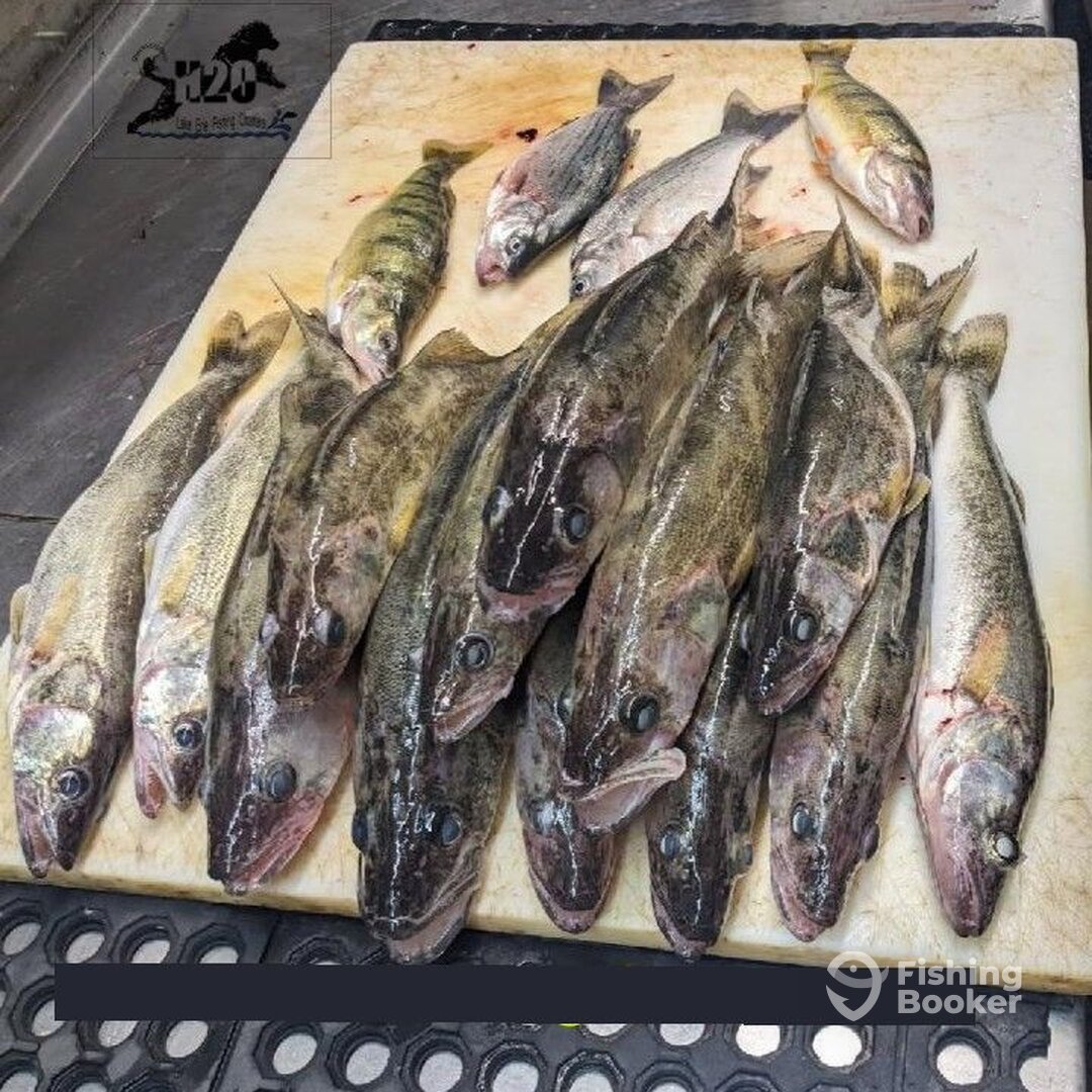 Lakeside Marblehead Report Photo 0