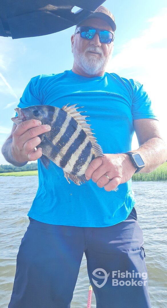 Darien Report Photo 0