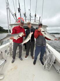 Can't Wait To Do It Again!!!