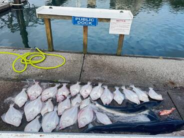 Reedsport Report Photo 1