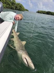 Shark fishing red hot !! 