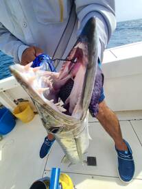 Fajardo Report Photo 1