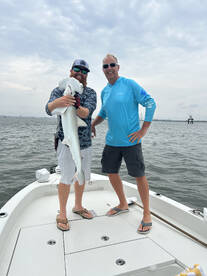 Bull redfish and Hammerheads