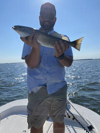 Peak Season for Trout Is Here