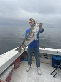 Stamford Report Photo 4