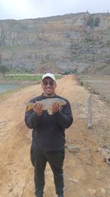 Cape Town Report Photo 1