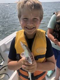 It not always the biggest fish the wins 