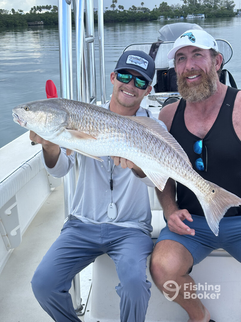 Sarasota Report Photo 0