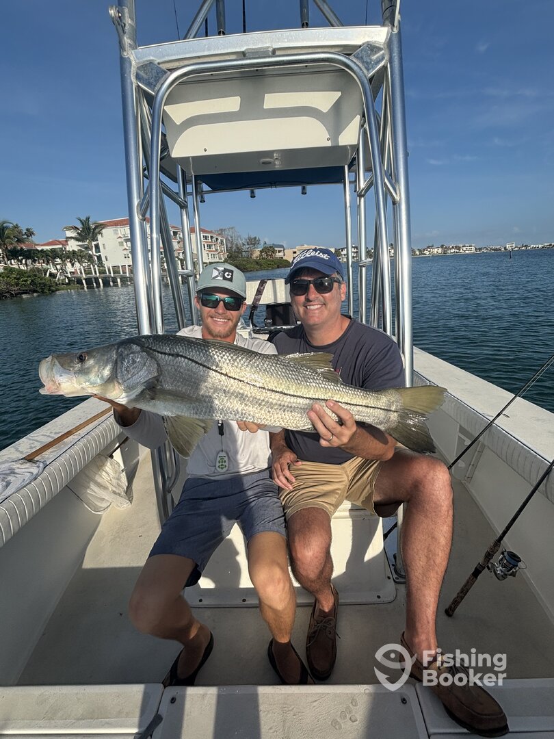 Sarasota Report Photo 0