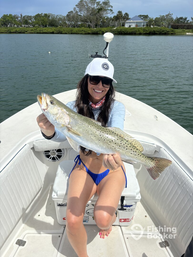 Sarasota Report Photo 0