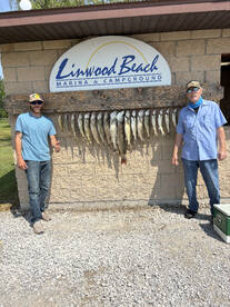 Saginaw Bay walleye trolling 
