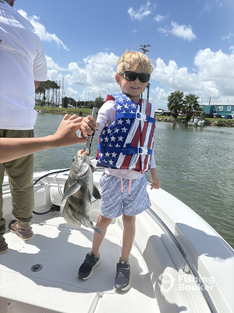 San Leon Report Photo 0