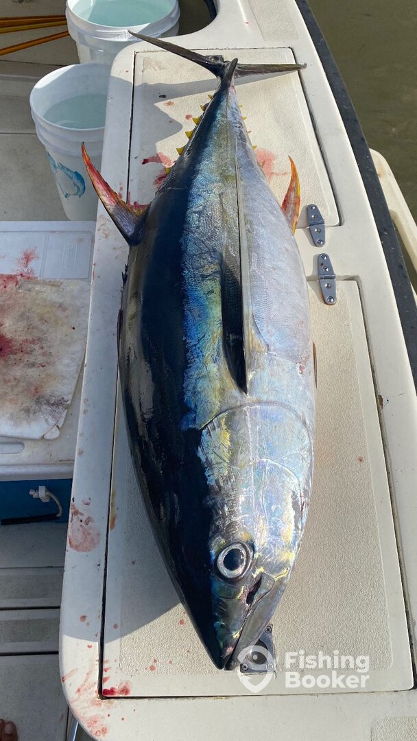 West Bay Report Photo 0