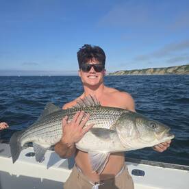 Sharks , bass, fluke , seabass and scup 