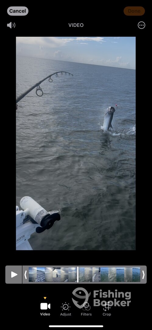 Crawfordville Report Photo 0