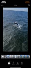 Crawfordville Report Photo 2