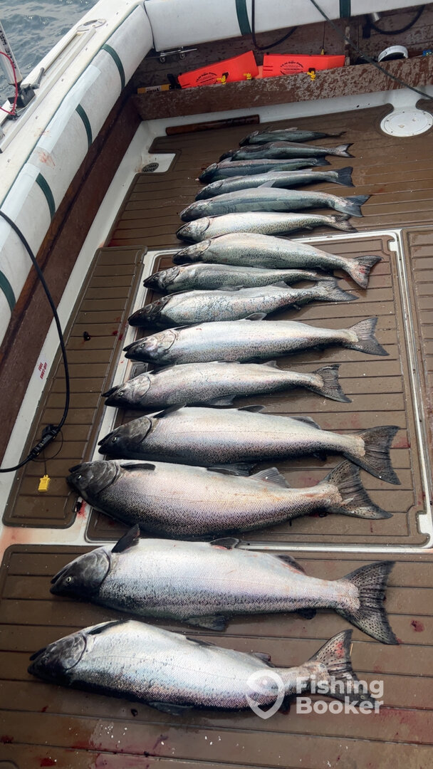 Manistee Report Photo 0