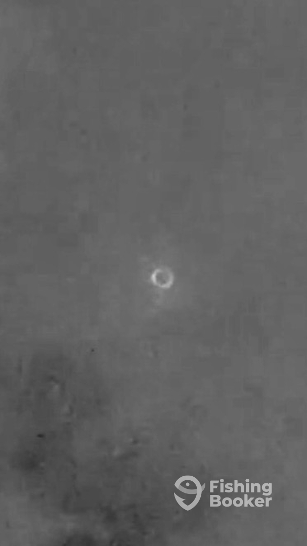 Mount Pleasant Report Photo 0