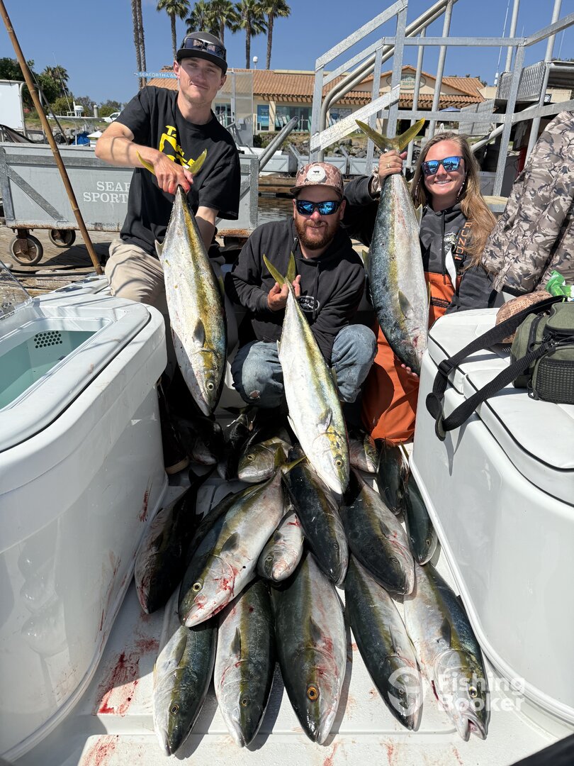Oceanside Report Photo 0