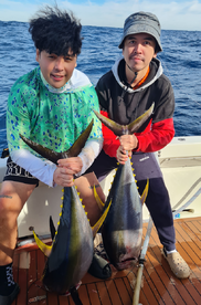 Sydney Report Photo 1