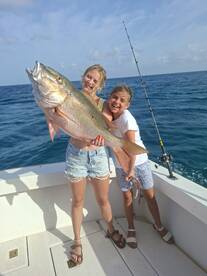 Mutton snapper 