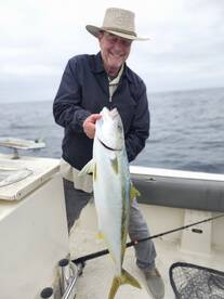 Yellowtail action 