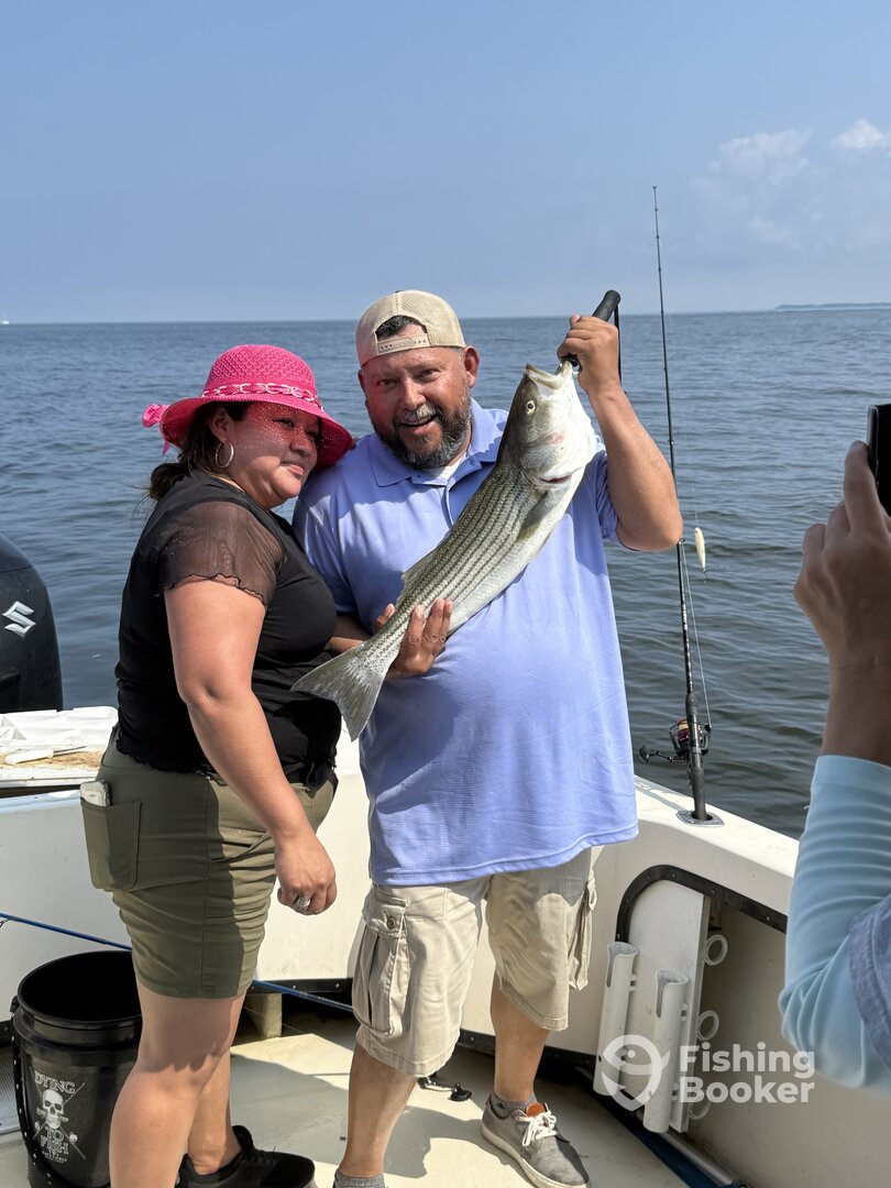 Bellevue Report Photo 0