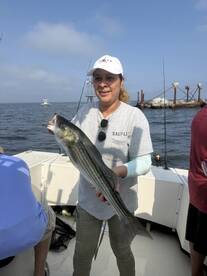 Bellevue Report Photo 1