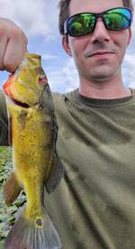 Fort Lauderdale Report Photo 1