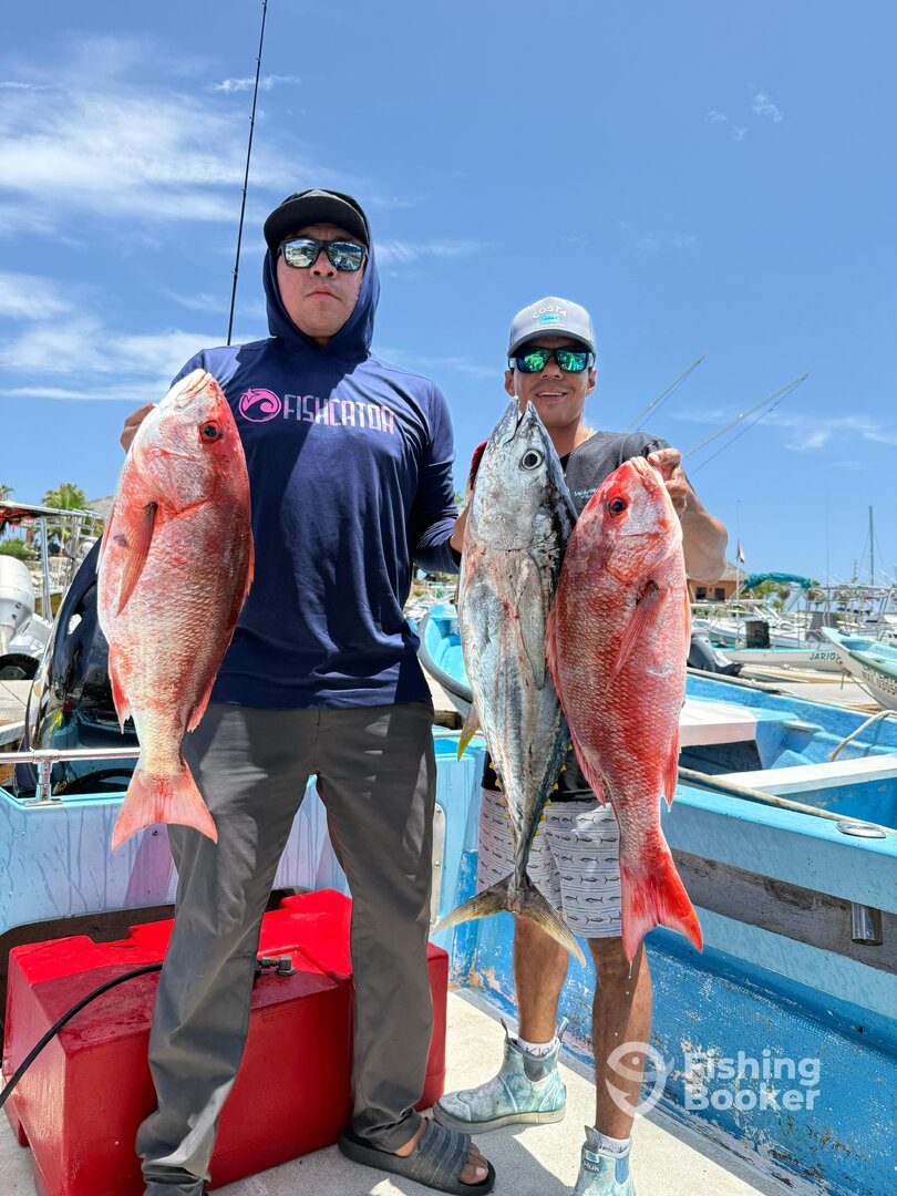 San Jose del Cabo Report Photo 0