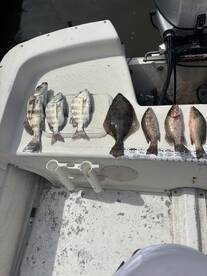 Palm Coast Report Photo 2