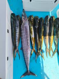 Playa Del Carmen Report Photo 1