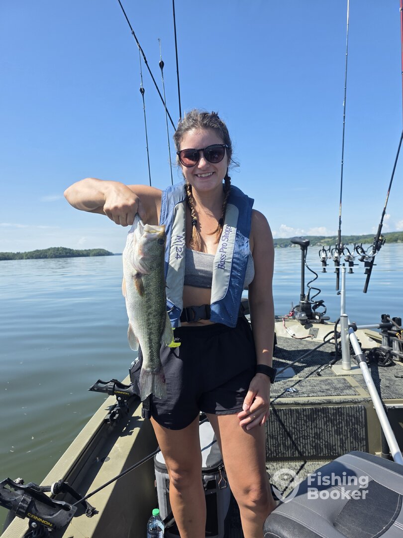 Harrison Report Photo 0