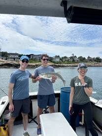 Rockport Report Photo 2