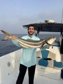 Huge cobia landed in Bau dhabi