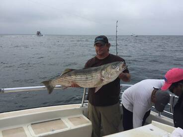 Montauk Report Photo 1