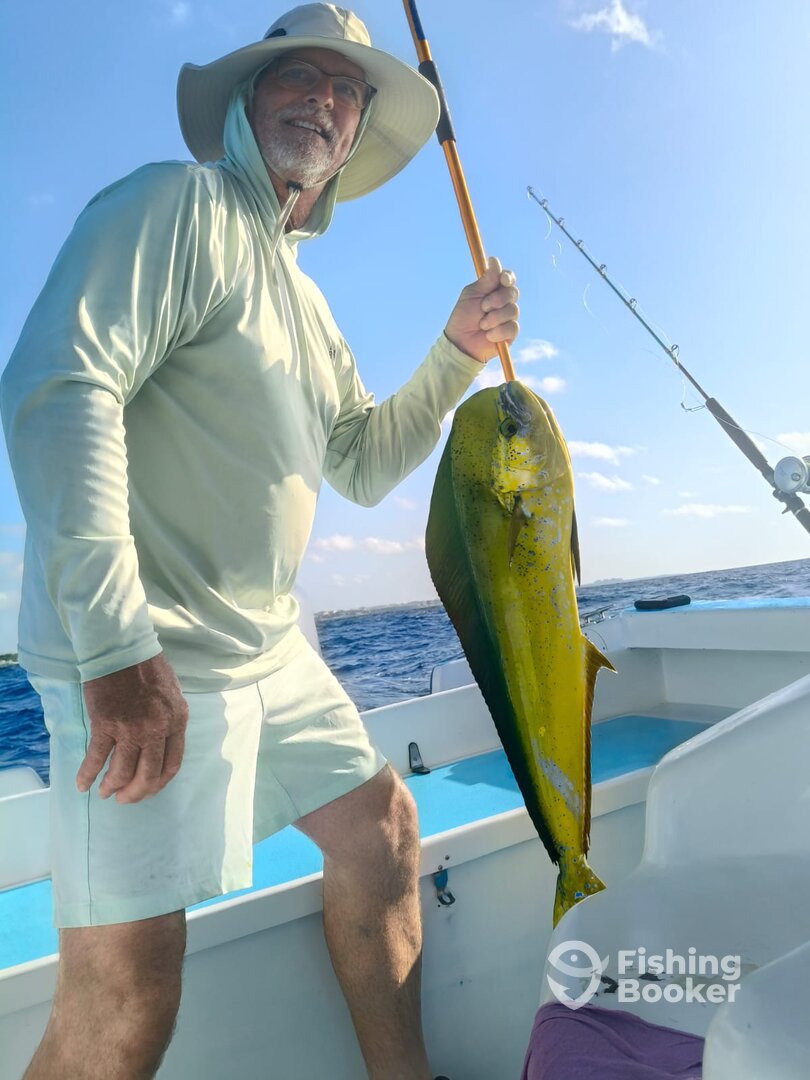 Playa Del Carmen Report Photo 0