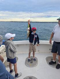 Gloucester Report Photo 2