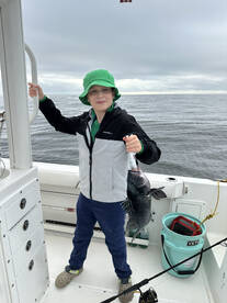 whales  dolphins and plenty of fish