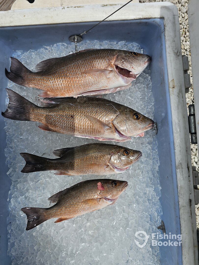 Fort Lauderdale Report Photo 0