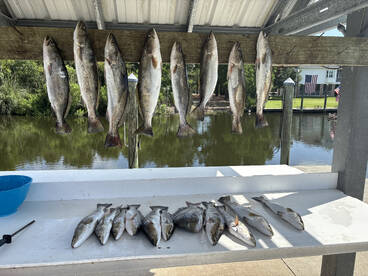 Bay St Louis Report Photo 2