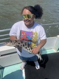 San Francisco Report Photo 2