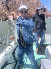 San Francisco Report Photo 2