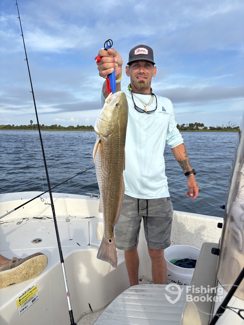 Port St. Joe Report Photo 0