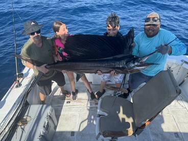 Lots of marlins and mahi mahi