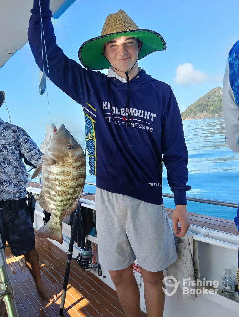 Airlie Beach Report Photo 0